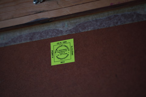 A. Antonová - Sokol Finist II 2012 - 6