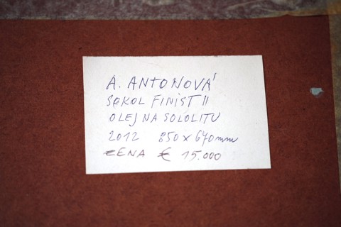 A. Antonová - Sokol Finist II 2012 - 5