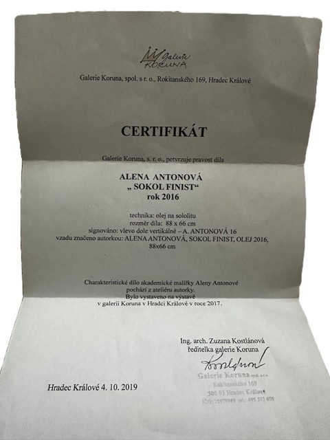 A. Antonová - Sokol Finist II 2012 - 7